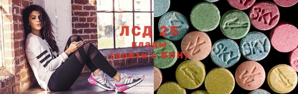 ECSTASY Майский